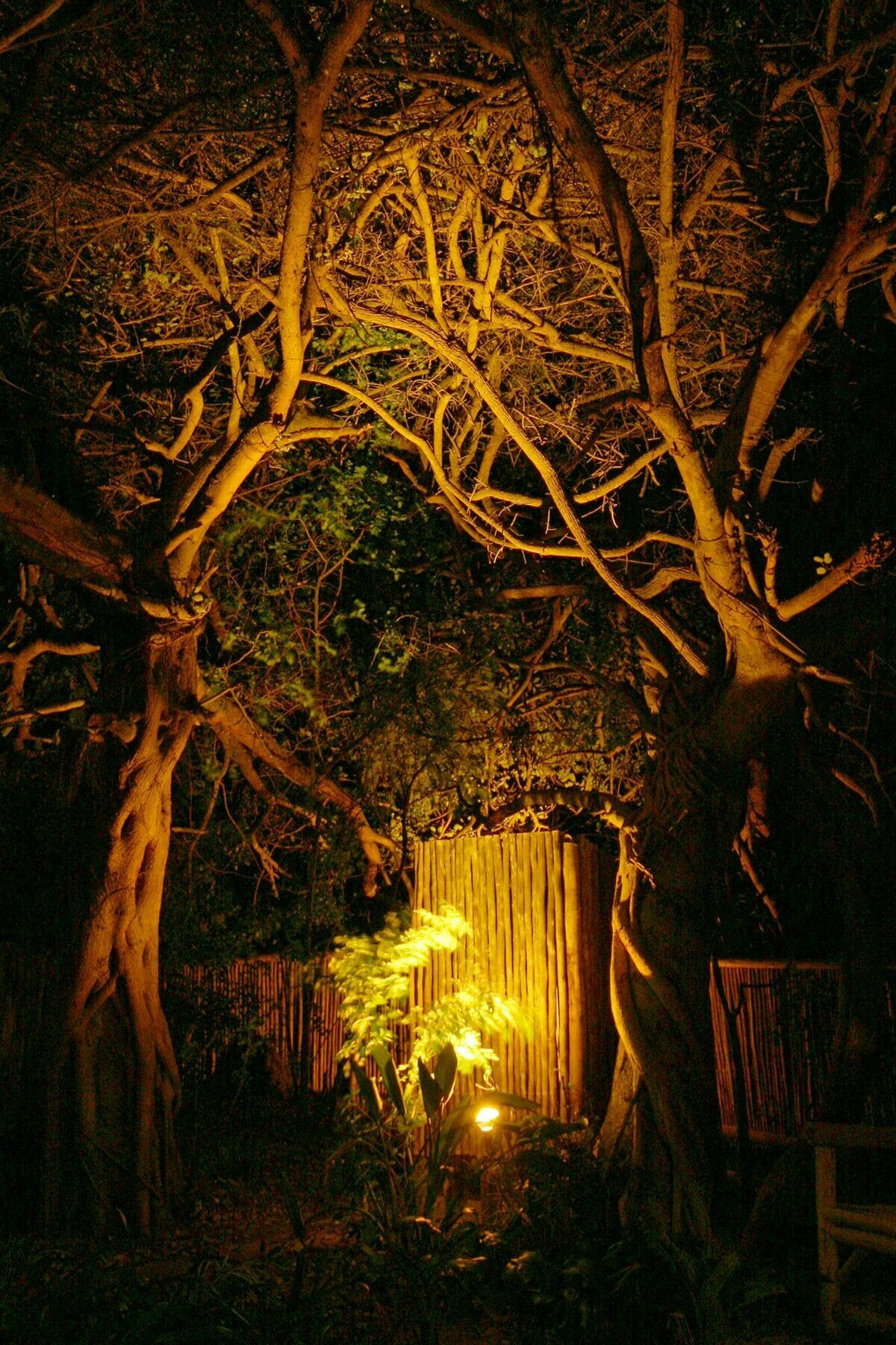 Emdoneni Lodge Hluhluwe Bagian luar foto